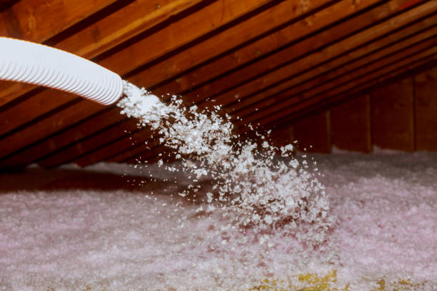 Insulation Inspection Services in Pine Air, FL